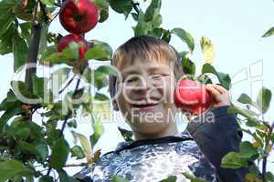Kind im Apfelbaum