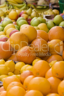 Fruit Market