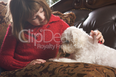 Young Girl with Her Maltese Puppy