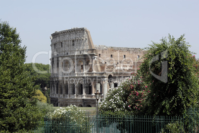 Il Colosseo