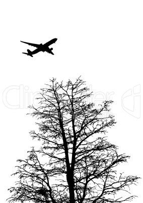 Flugzeug mit Baum