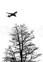 Flugzeug mit Baum