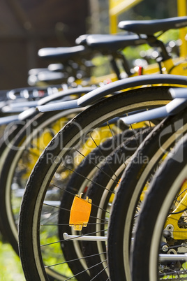 Rack of Bicycles