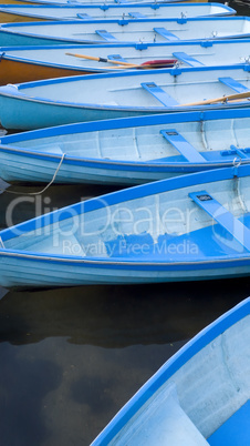 Row of Rowing Boats