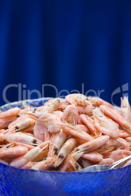 Bowl of Shrimps