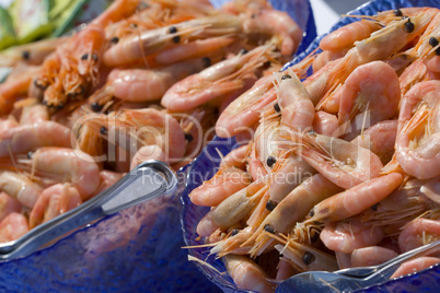 Bowls of Shrimps