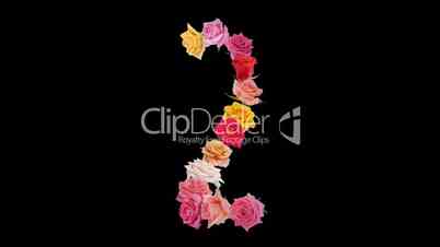 Montage opening rainbow roses number 2 shape alpha matte 2n