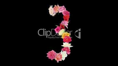 Montage opening rainbow roses number 3 shape alpha matte 3n