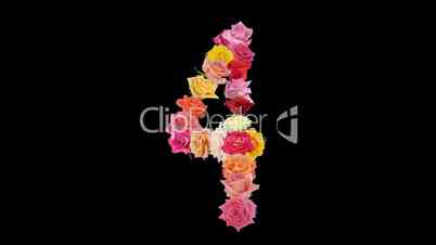 Montage opening rainbow roses number 4 shape alpha matte 4n
