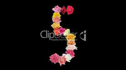 Montage opening rainbow roses number 5 shape alpha matte 5n