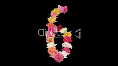 Montage opening rainbow roses number 6 shape alpha matte 6n