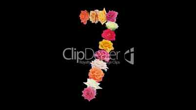 Montage opening rainbow roses number 7 shape alpha matte 7n