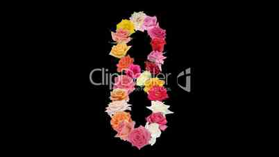 Montage opening rainbow roses number 8 shape alpha matte 8n