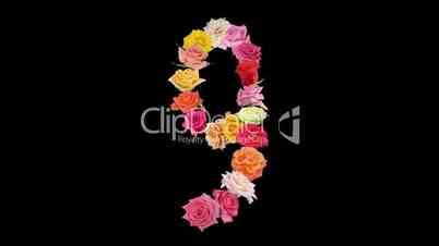 Montage opening rainbow roses number 9 shape alpha matte 9n