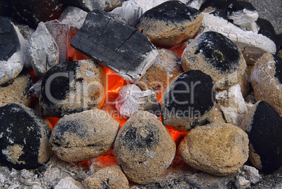 Holzkohle - charcoal 13