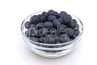 Heidelbeere - blueberry 10
