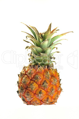 Ananas