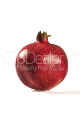 Granatapfel