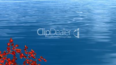 red maple leaves and blue lake water