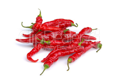 Peperoni - chile pepper 06