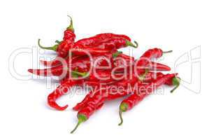 Peperoni - chile pepper 06