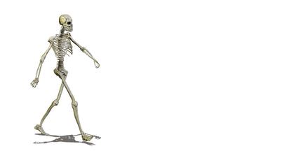 Running Skelett
