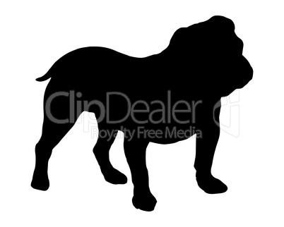 Schwarze Silhouette von einer Bulldogge