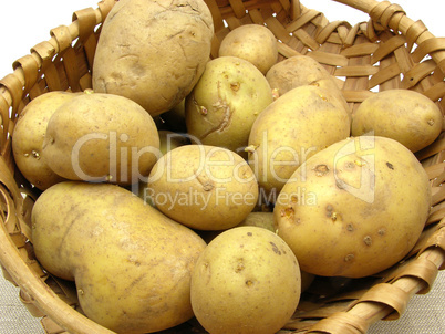 Korb mit Kartoffeln auf beiger Decke