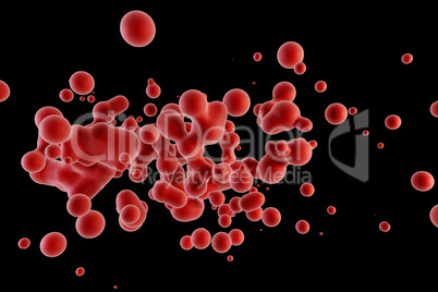 blood red corpuscles