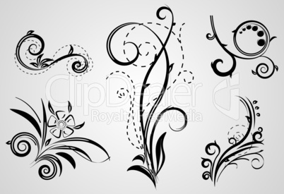 set of decorative floral elements