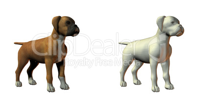 boxer dog 3d model