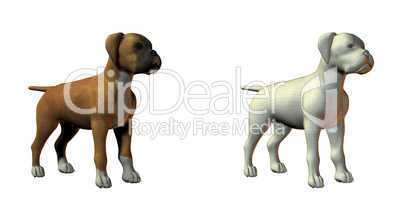 boxer dog 3d model
