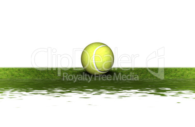 tennis ball on the green grass