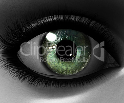 beautiful girl eye