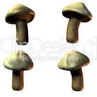 mushrooms in 3D