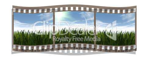 film with 3 images of green grass and blue sky