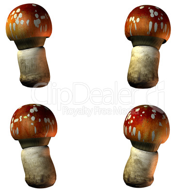 mushrooms in 3D