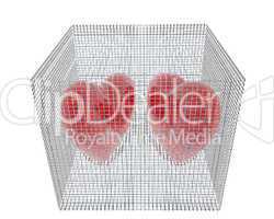 3d hearts in birdcage isolated on white