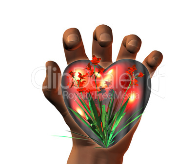 3D heart on 3D hands isolated on white