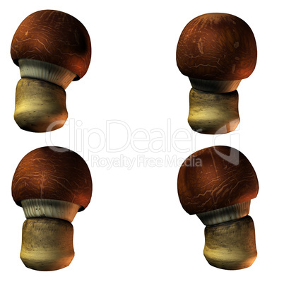 mushrooms in 3D