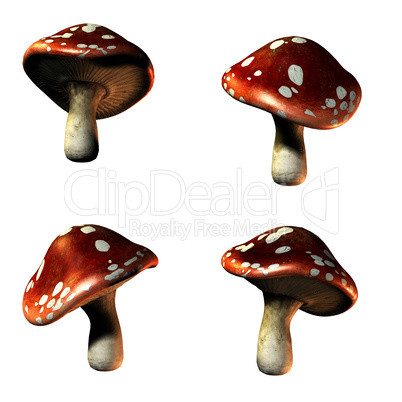 mushrooms in 3D