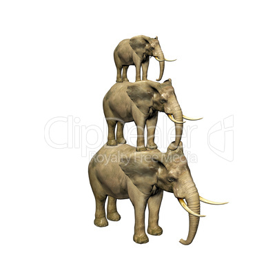 3d elephant isolated on white