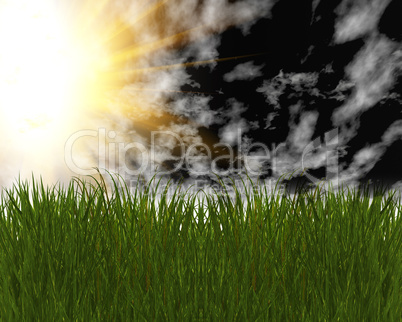 3D green grass and blue sky
