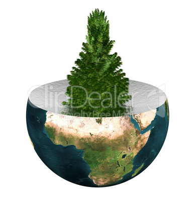 evergreen spruce on earth hemisphere isolated on white