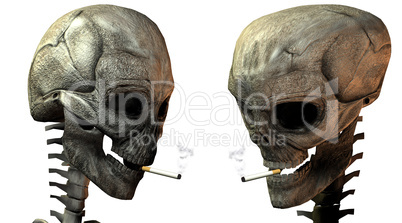 two 3D skulls with cigarette