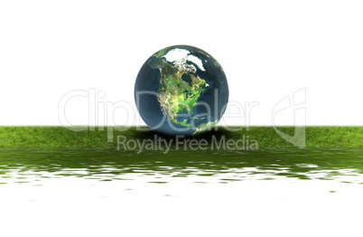 earth on the green grass