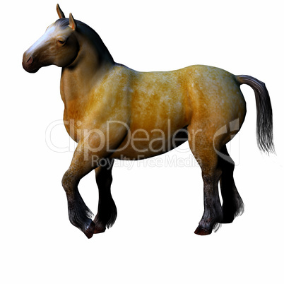 3D beautiful horse