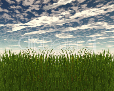 3D green grass and blue sky