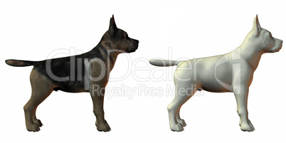 shepherd dog 3d model