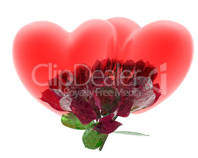 red heart isolated on a white